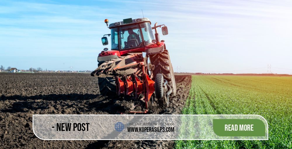 Koperasi Lumbung Pangan Sejahtera Artikel2