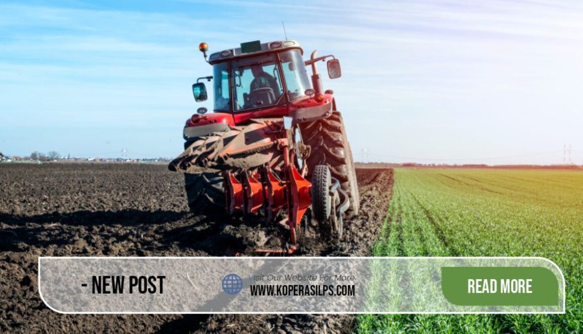 Koperasi Lumbung Pangan Sejahtera Artikel2